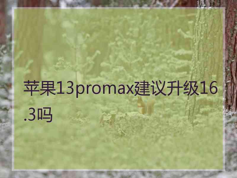 苹果13promax建议升级16.3吗