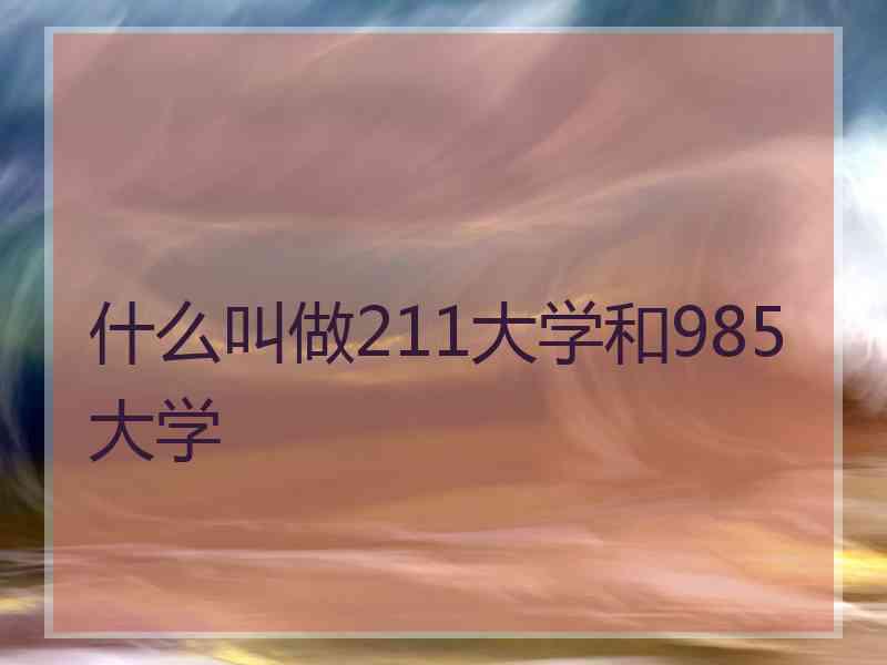 什么叫做211大学和985大学