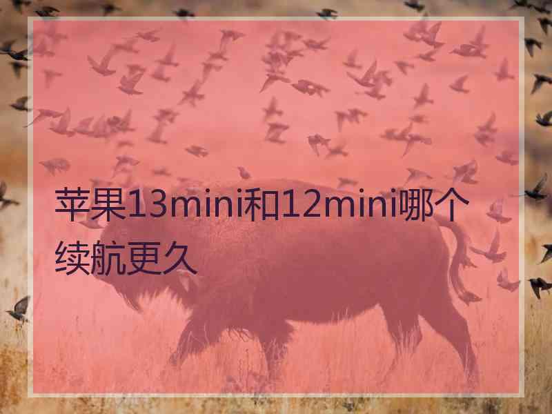 苹果13mini和12mini哪个续航更久