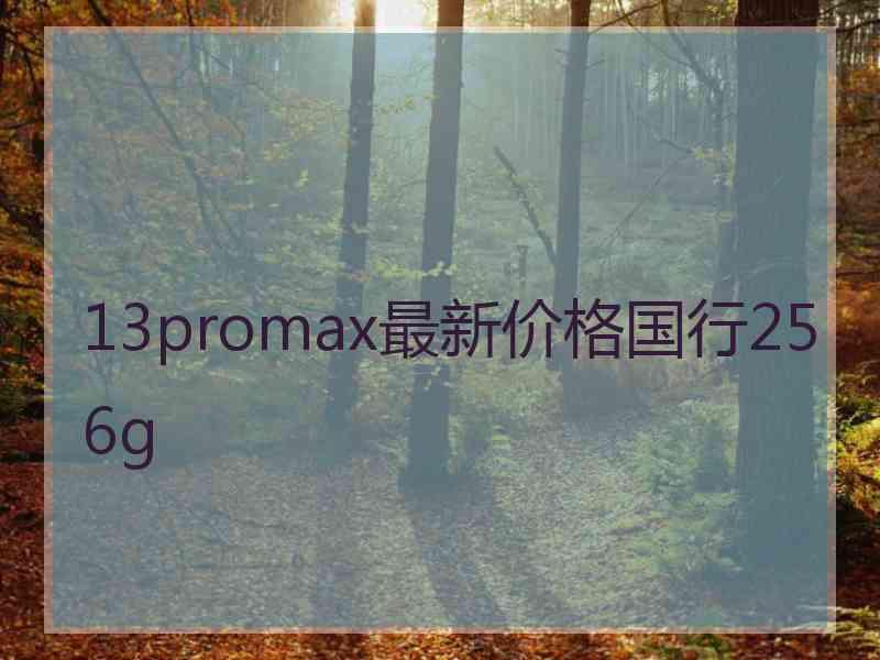 13promax最新价格国行256g