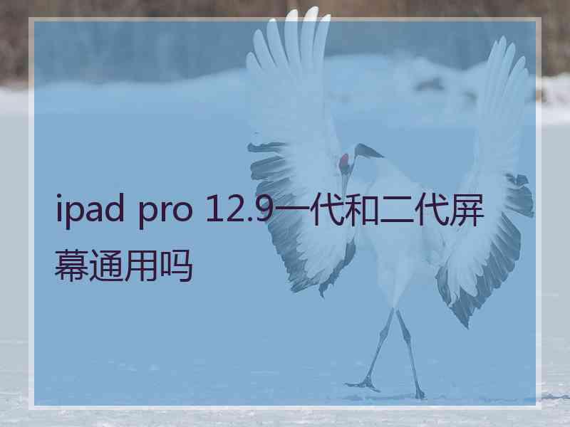 ipad pro 12.9一代和二代屏幕通用吗