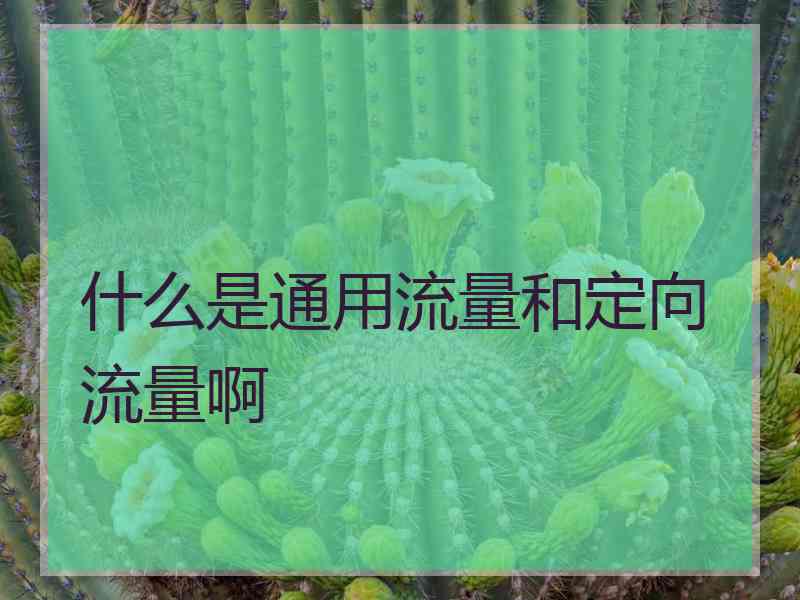 什么是通用流量和定向流量啊