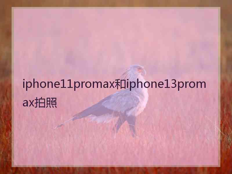 iphone11promax和iphone13promax拍照