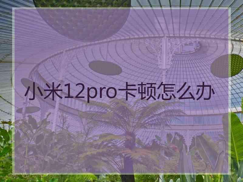 小米12pro卡顿怎么办