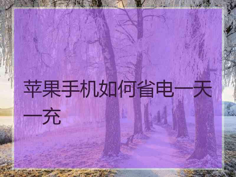 苹果手机如何省电一天一充