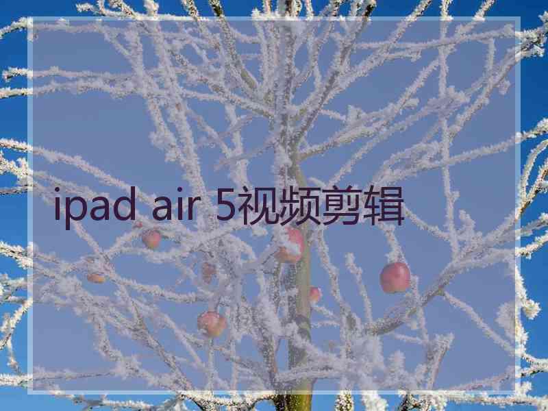 ipad air 5视频剪辑