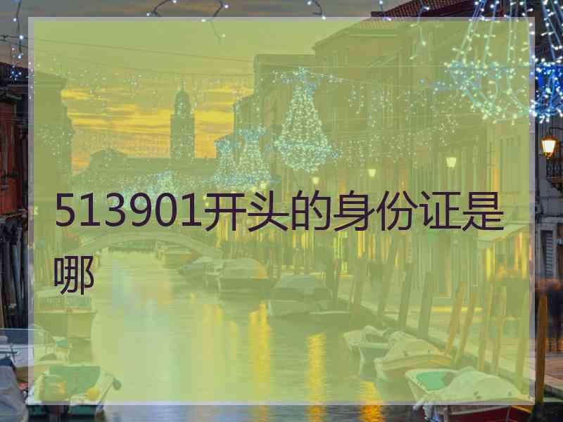 513901开头的身份证是哪