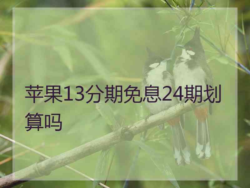 苹果13分期免息24期划算吗