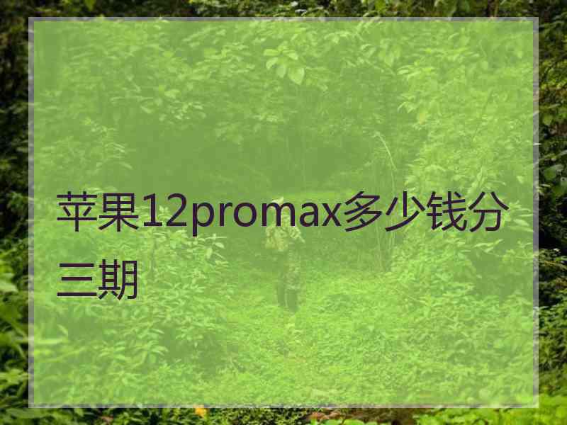 苹果12promax多少钱分三期