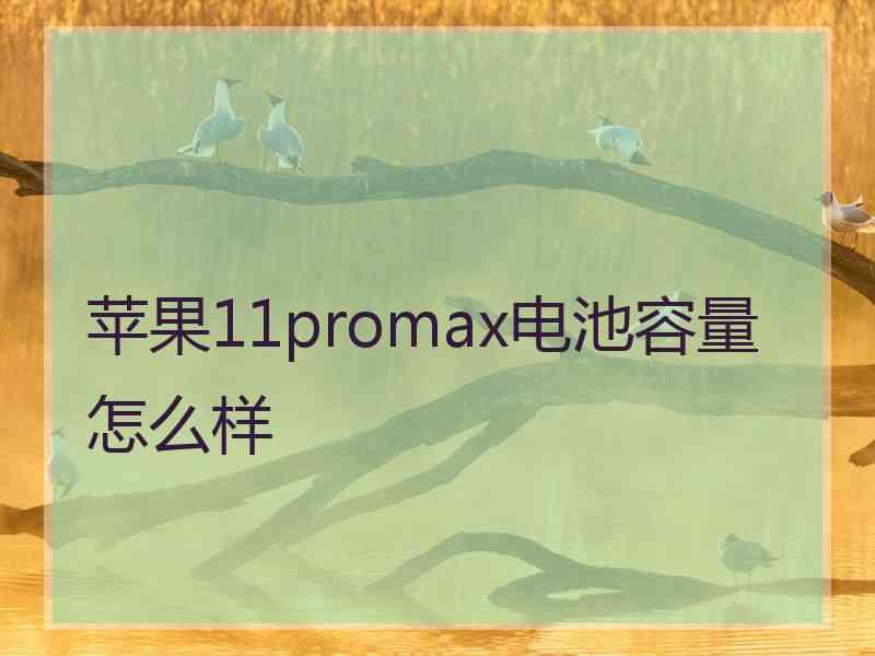 苹果11promax电池容量怎么样