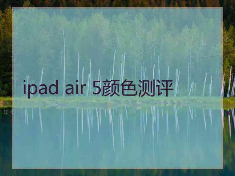 ipad air 5颜色测评