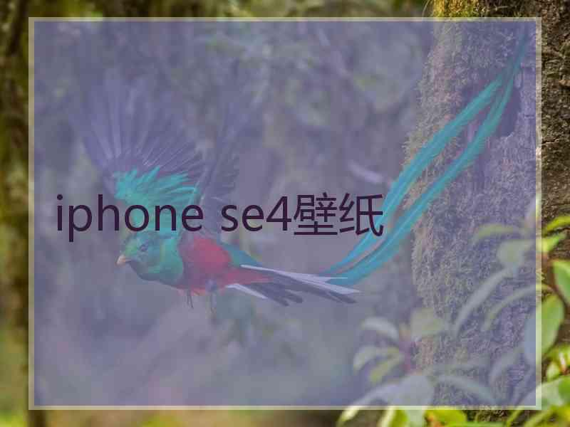 iphone se4壁纸