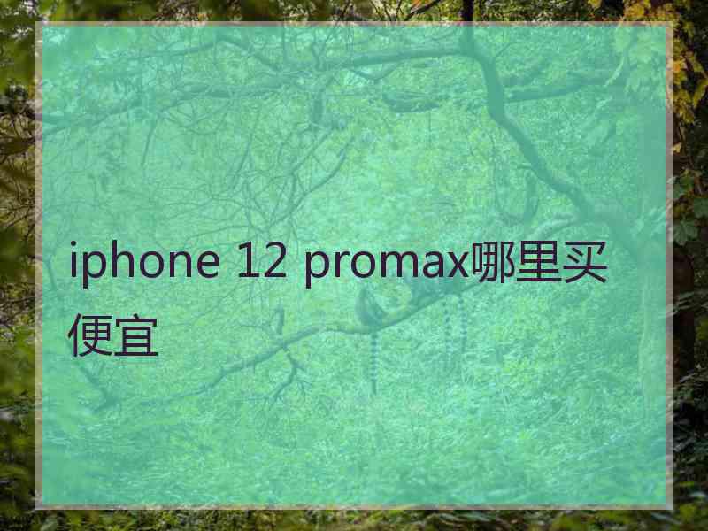 iphone 12 promax哪里买便宜