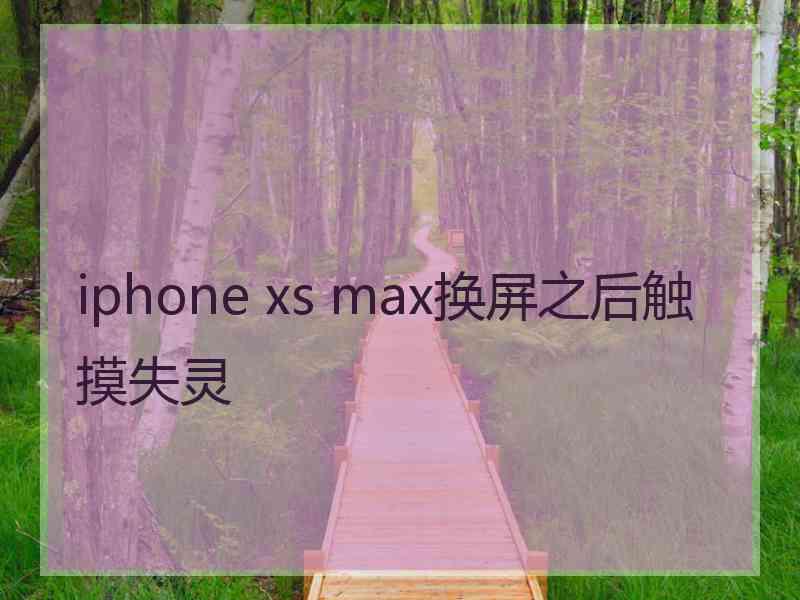 iphone xs max换屏之后触摸失灵