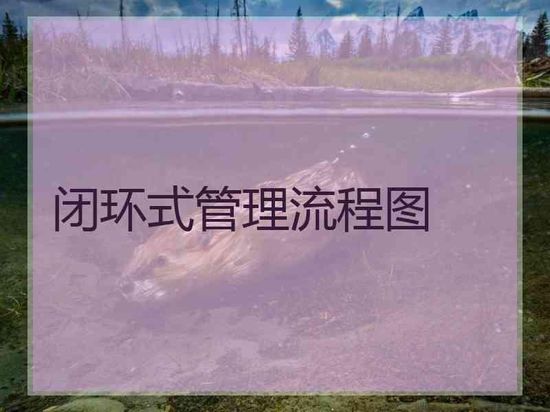 闭环式管理流程图