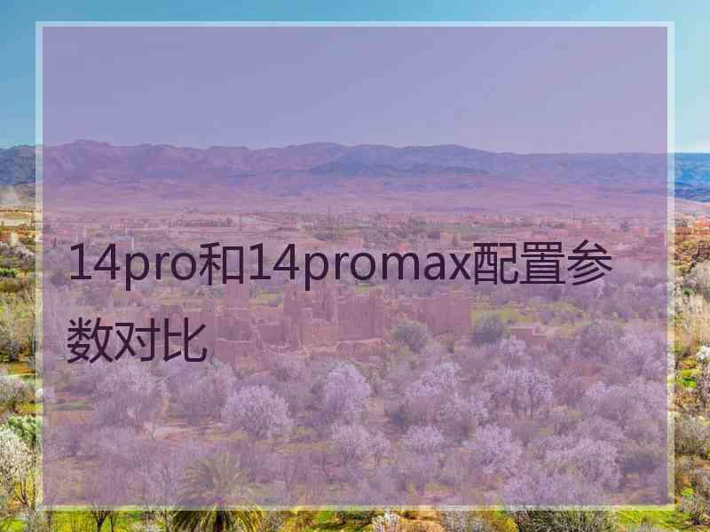 14pro和14promax配置参数对比