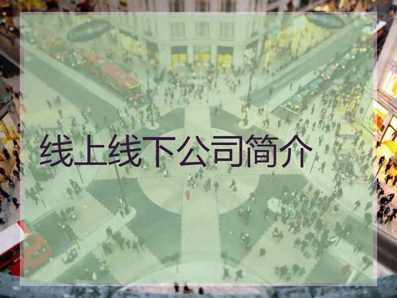 线上线下公司简介