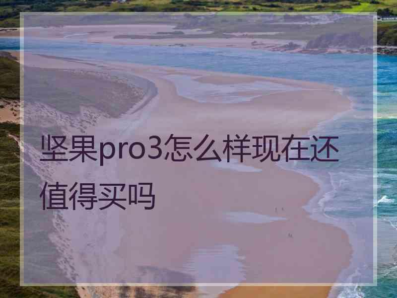 坚果pro3怎么样现在还值得买吗