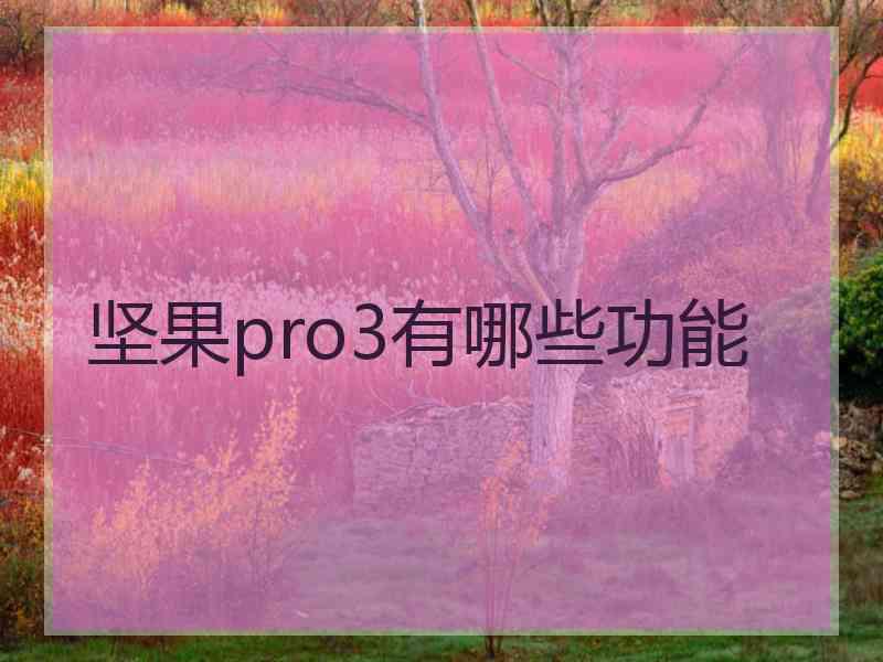 坚果pro3有哪些功能