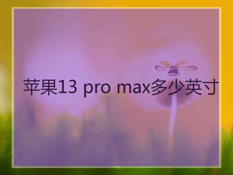 苹果13 pro max多少英寸