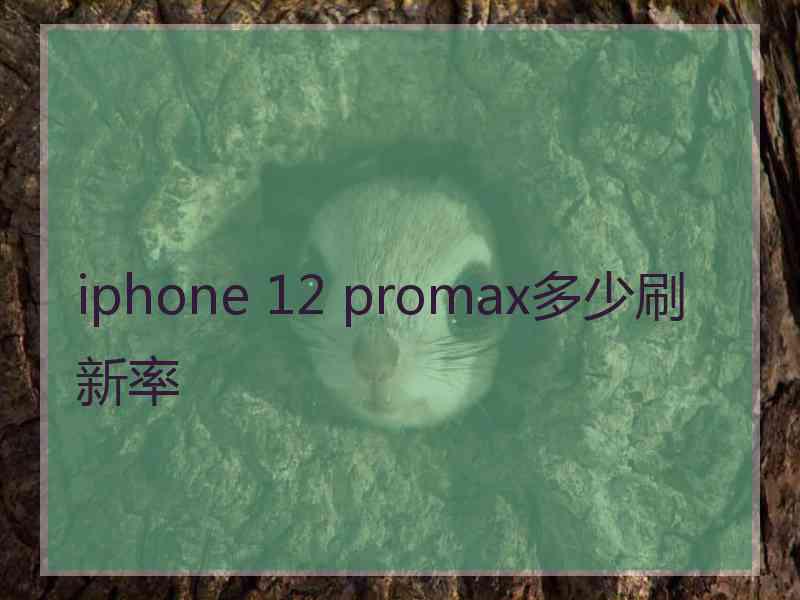 iphone 12 promax多少刷新率