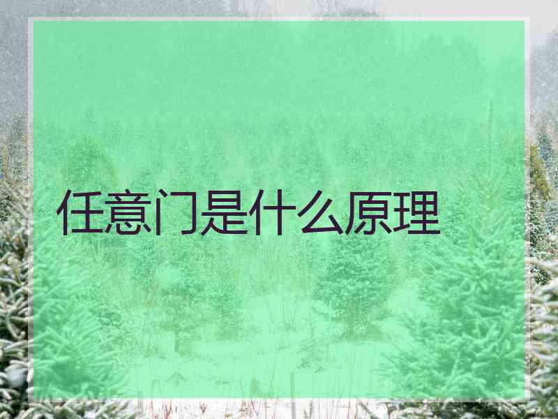 任意门是什么原理