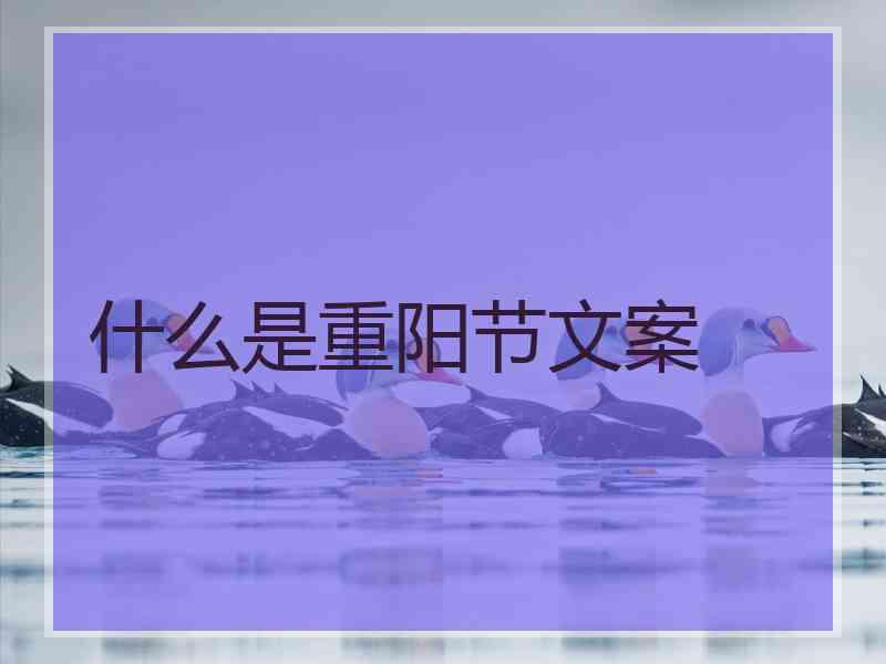 什么是重阳节文案