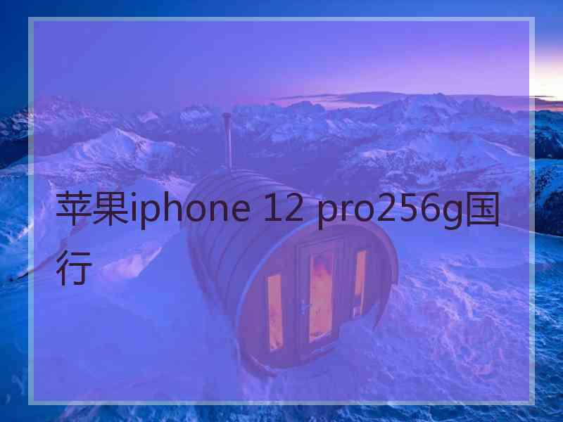 苹果iphone 12 pro256g国行