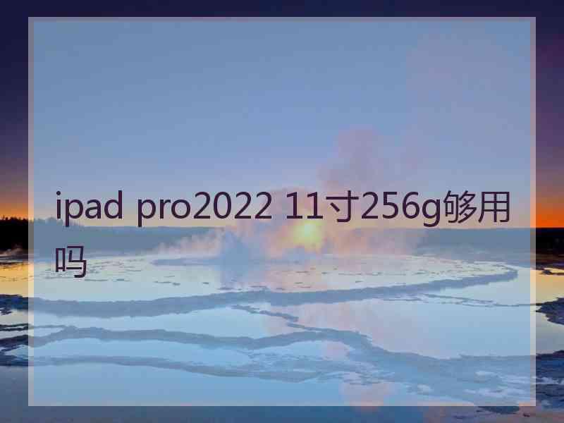 ipad pro2022 11寸256g够用吗