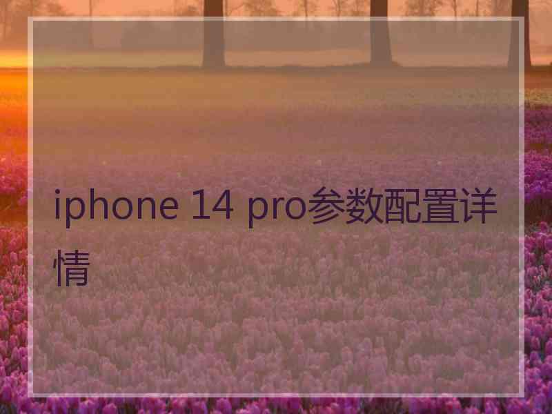 iphone 14 pro参数配置详情