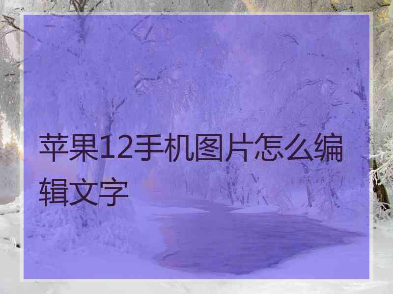 苹果12手机图片怎么编辑文字