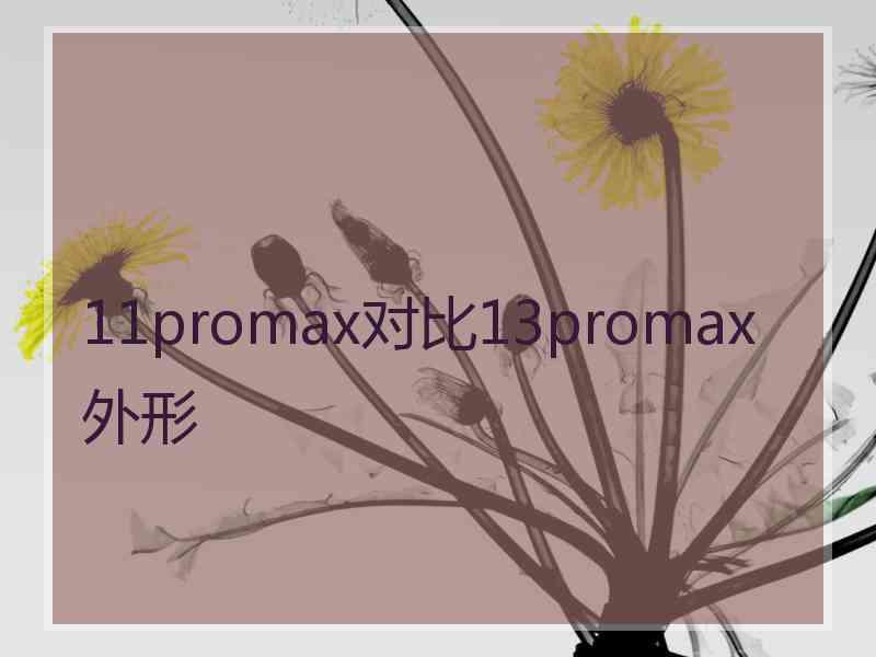 11promax对比13promax外形