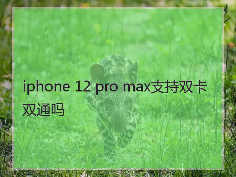 iphone 12 pro max支持双卡双通吗