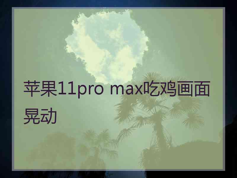 苹果11pro max吃鸡画面晃动