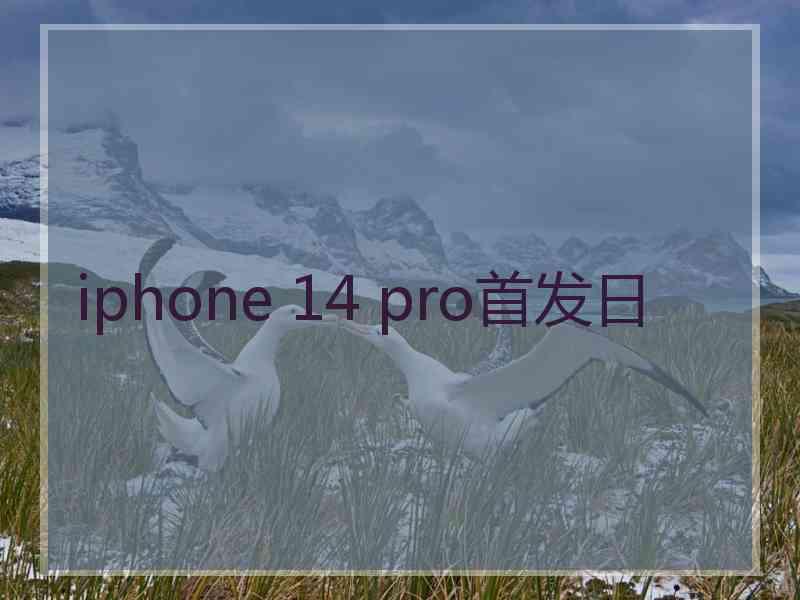 iphone 14 pro首发日