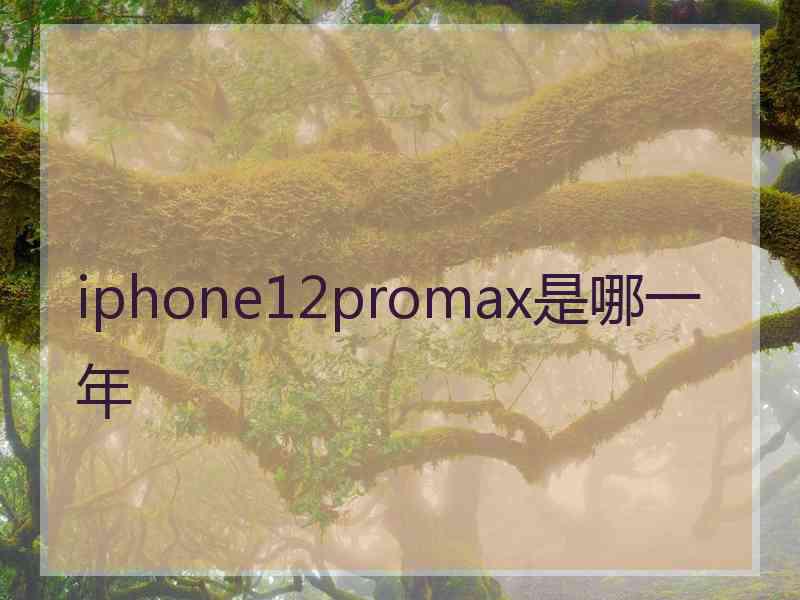 iphone12promax是哪一年