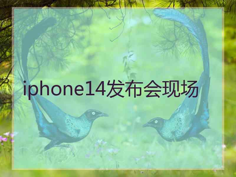 iphone14发布会现场