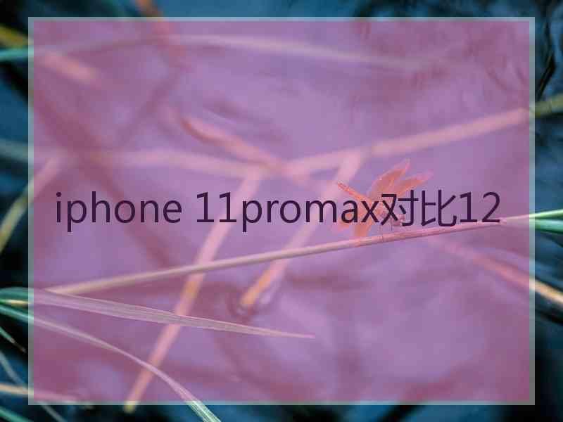 iphone 11promax对比12