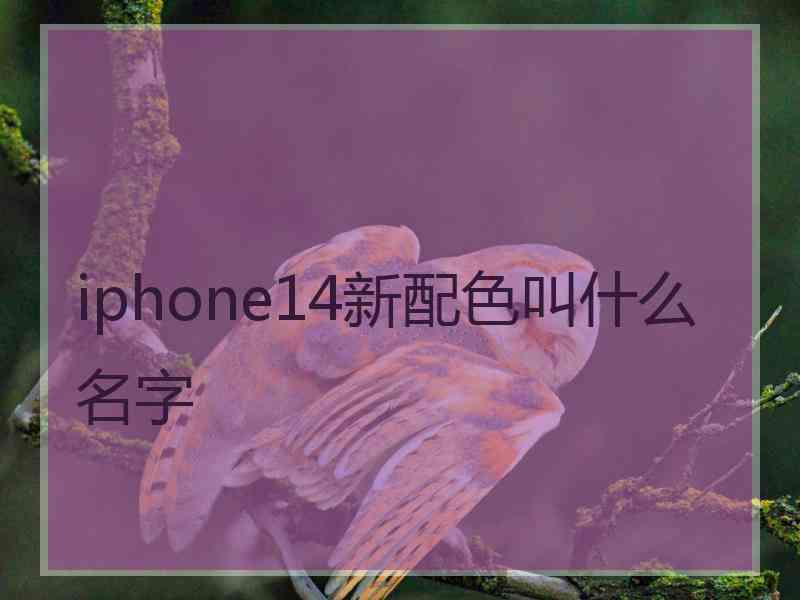 iphone14新配色叫什么名字