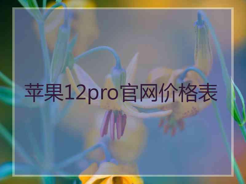 苹果12pro官网价格表