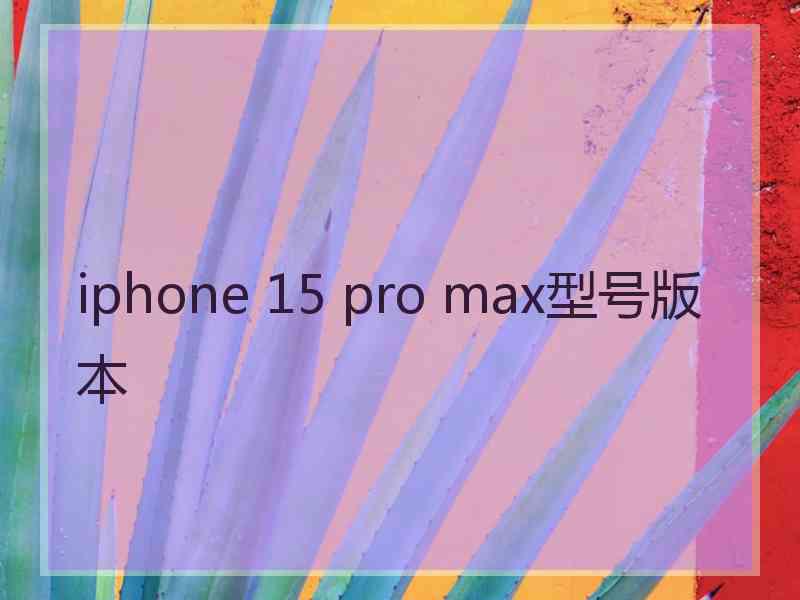 iphone 15 pro max型号版本