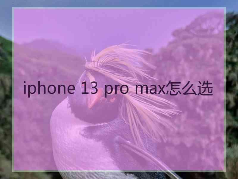 iphone 13 pro max怎么选