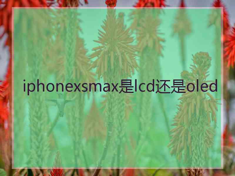 iphonexsmax是lcd还是oled