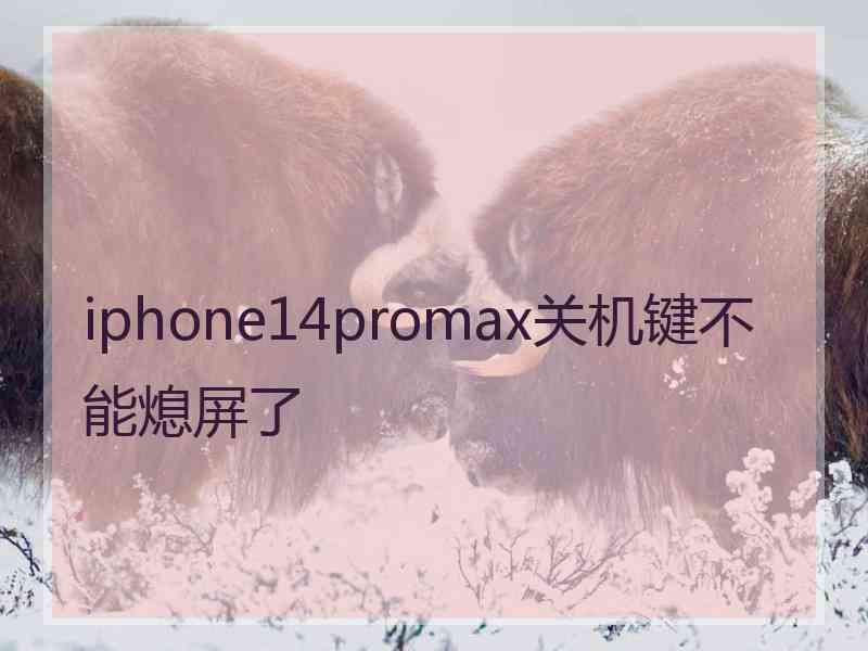 iphone14promax关机键不能熄屏了