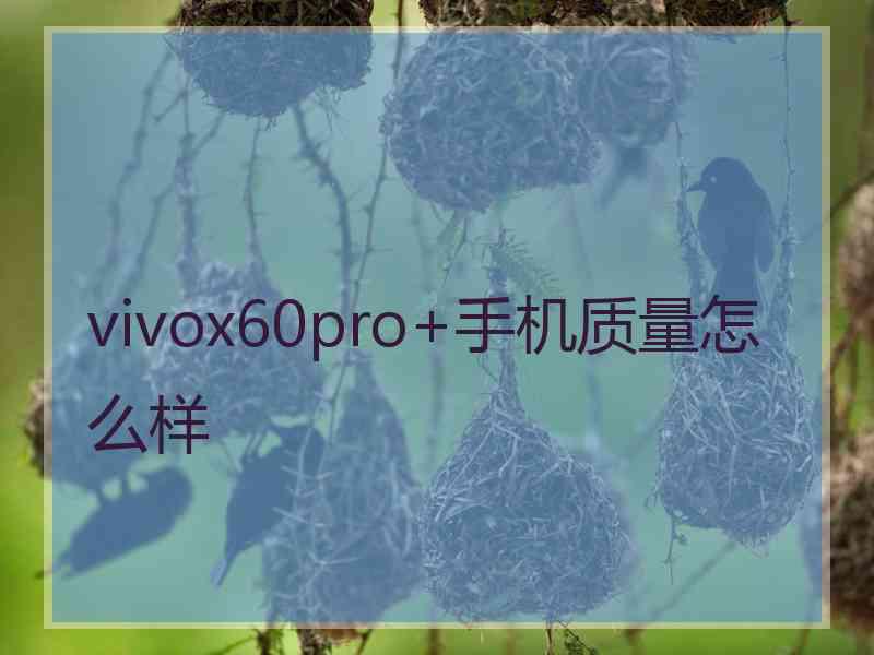 vivox60pro+手机质量怎么样