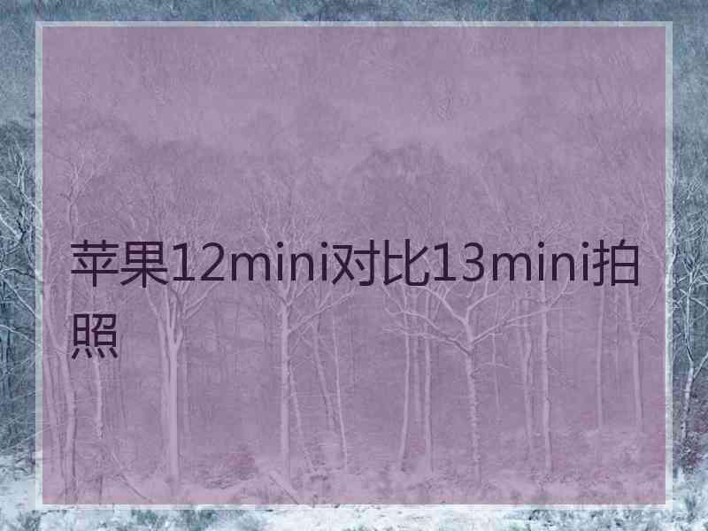 苹果12mini对比13mini拍照