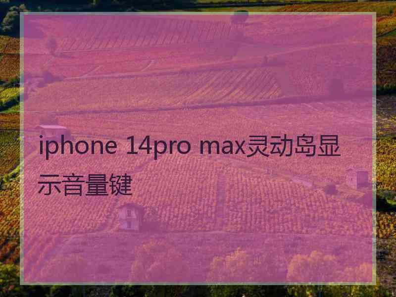 iphone 14pro max灵动岛显示音量键