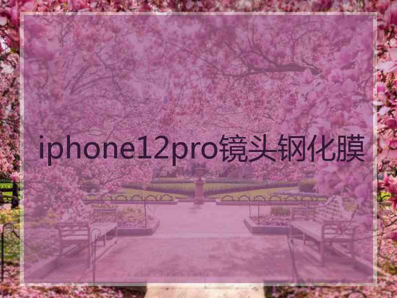 iphone12pro镜头钢化膜