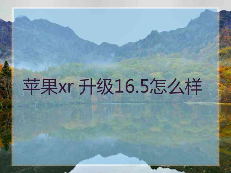 苹果xr 升级16.5怎么样