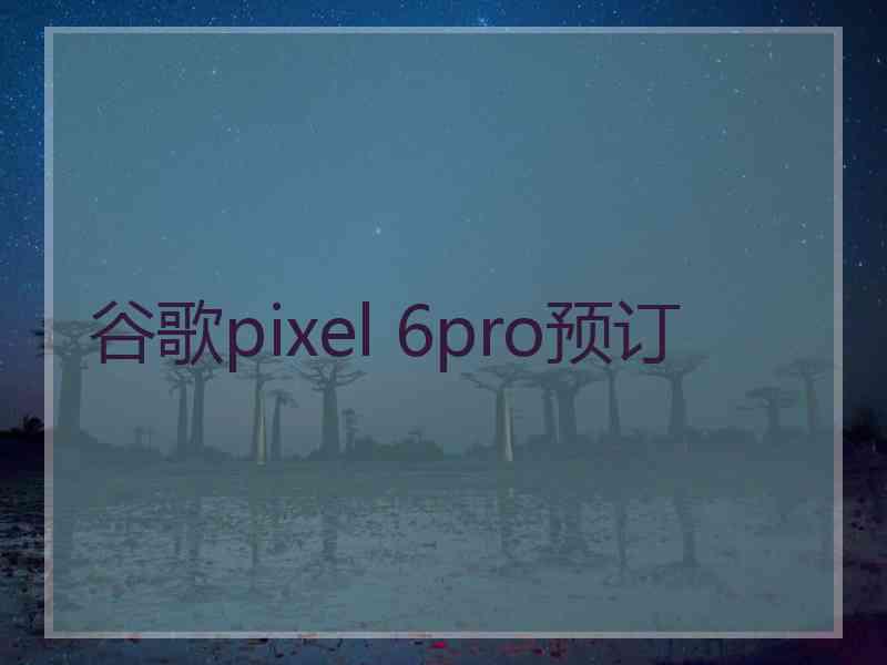 谷歌pixel 6pro预订